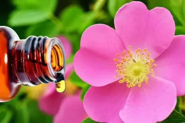 óleo de rosa mosqueta